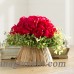 Red Vanilla Rose Centerpiece in Planter RVZ2306